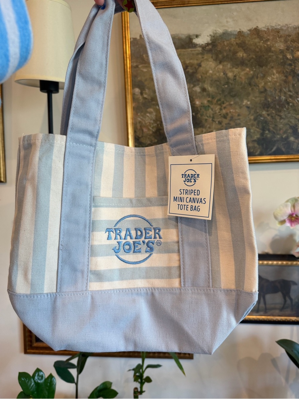 Trader Joe's Striped Light Blue Canvas Tote Bag